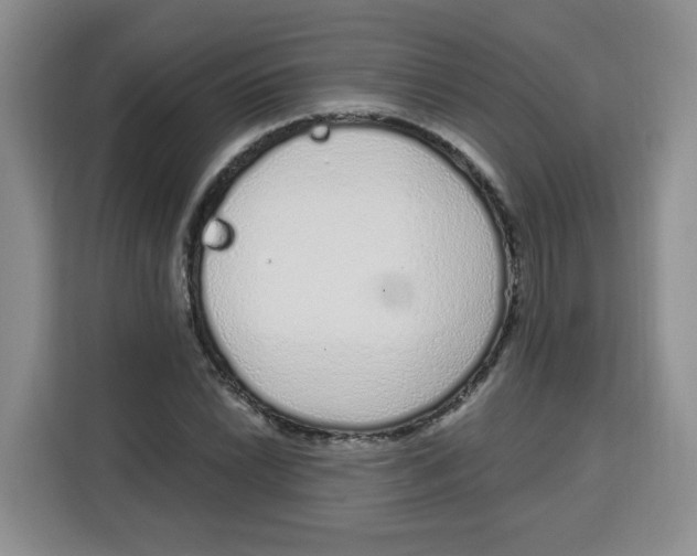 X0000115161022200911241545