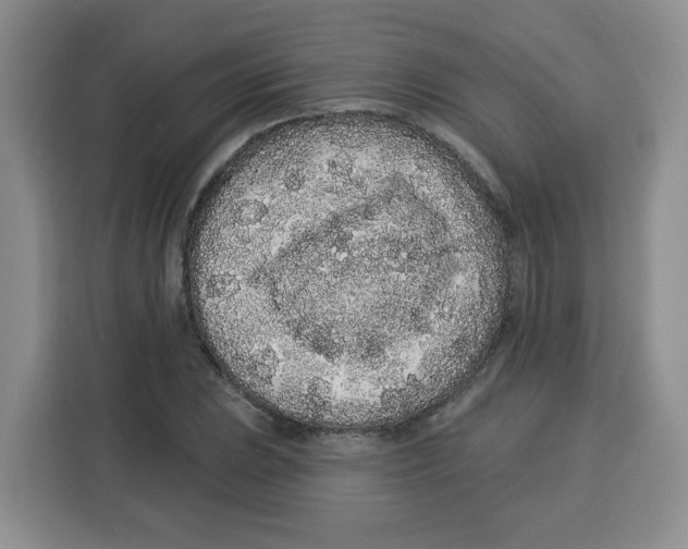 X0000115161023200911241545