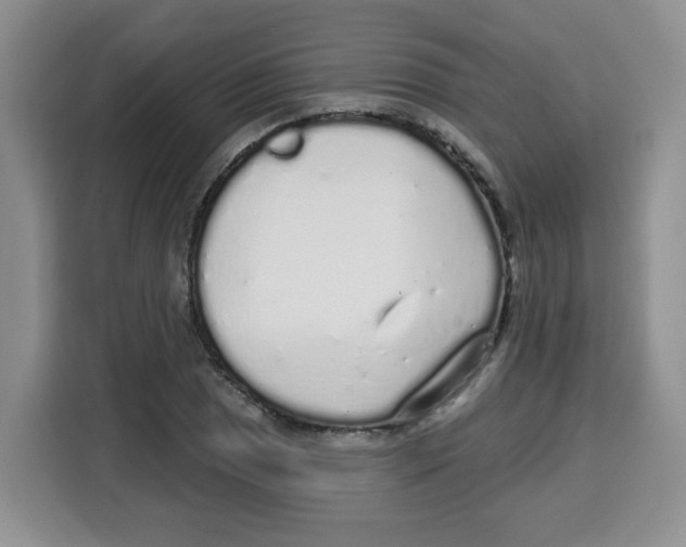 X0000115161025200911241545