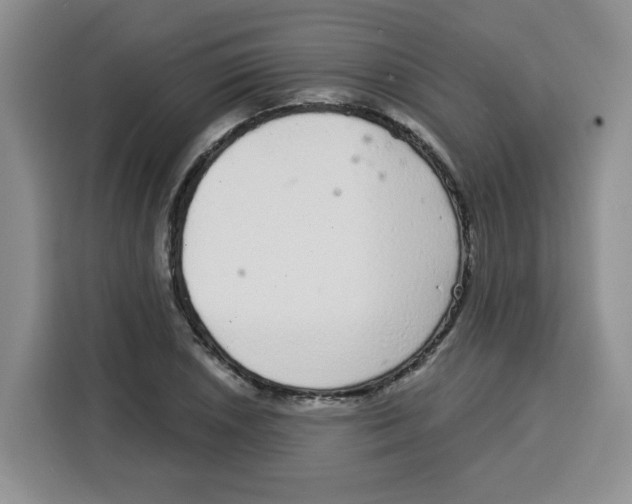 X0000115161026200911241545