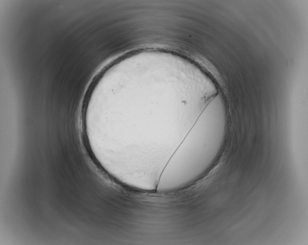 X0000115161028200911241545