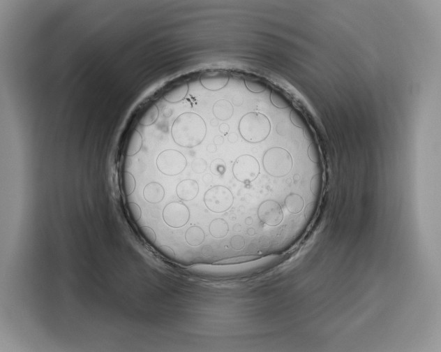 X0000115161029200911241545