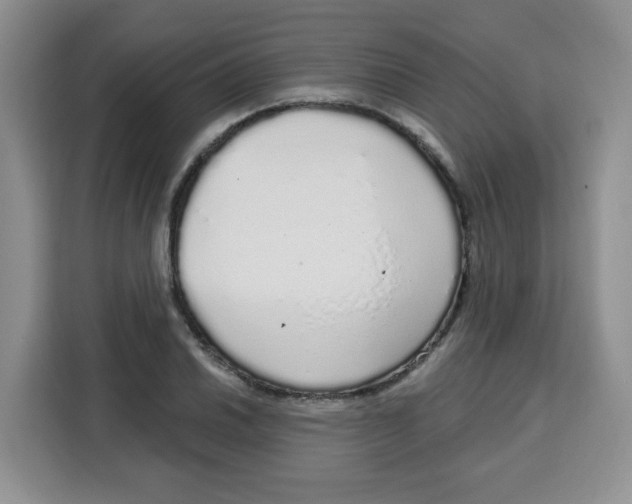 X0000115161030200911241545