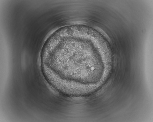 X0000115161031200911241545