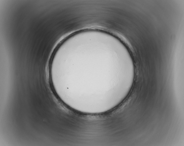 X0000115161032200911241545