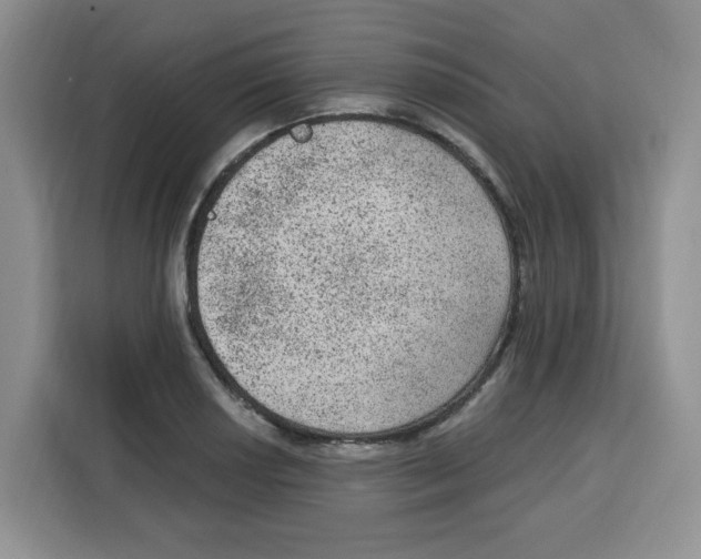 X0000115161034200911241545