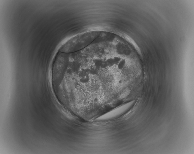 X0000115161035200911241545