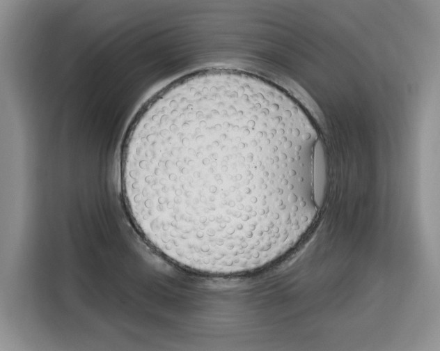 X0000115161036200911241545