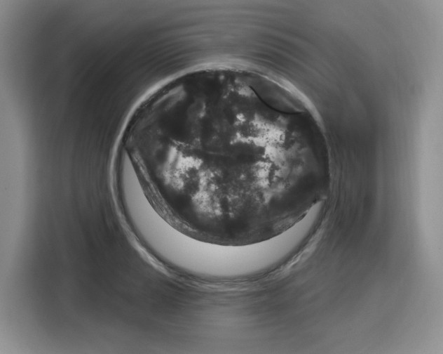 X0000115161037200911241545