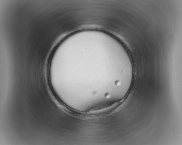 X0000115161038200911241545