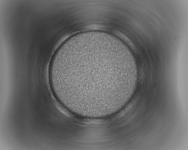 X0000115161039200911241545