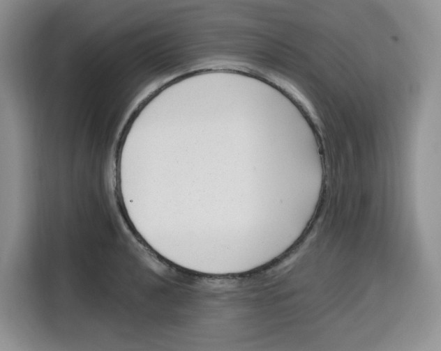 X0000115161040200911241545