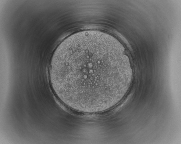 X0000115161041200911241545