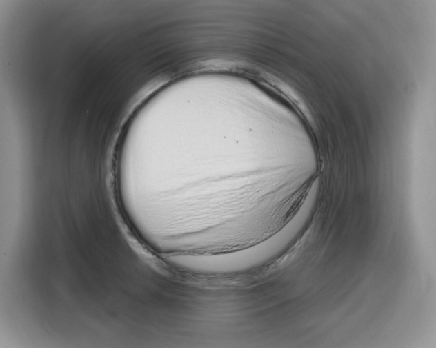 X0000115161042200911241545