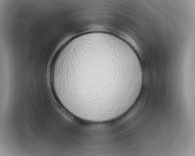 X0000115161043200911241545