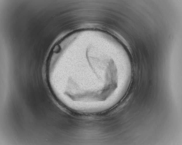 X0000115161045200911241545