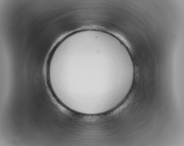 X0000115161046200911241545