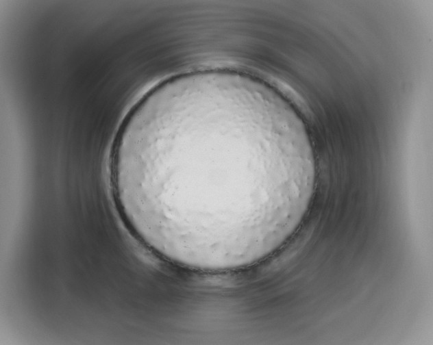 X0000115161047200911241545