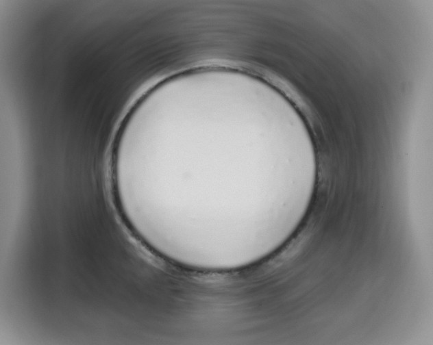 X0000115161048200911241545