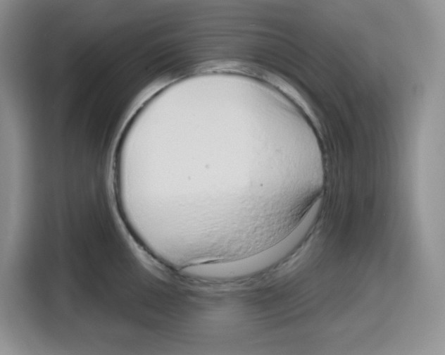 X0000115161050200911241545