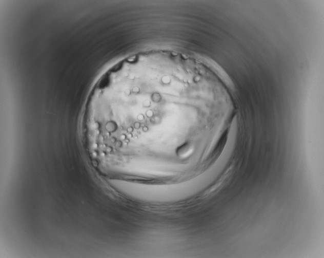 X0000115161052200911241545