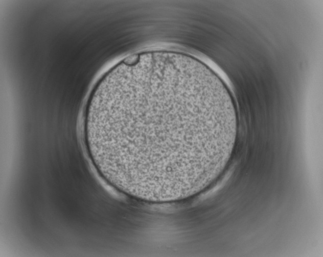 X0000115161053200911241545