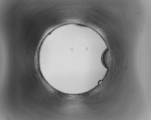 X0000115161056200911241545