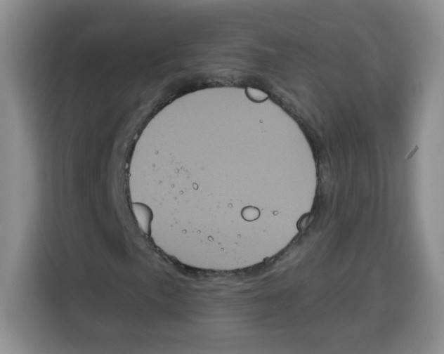 X0000115161057200911241544