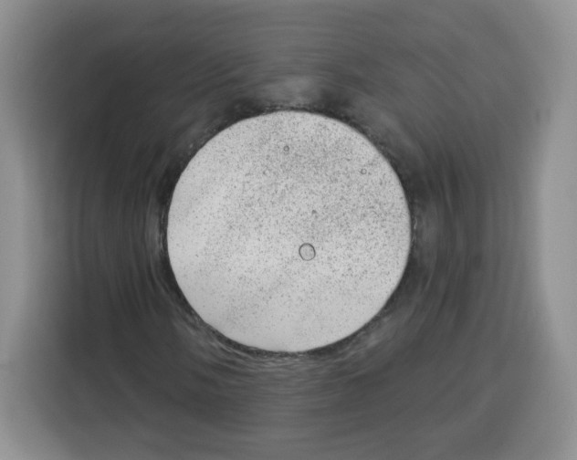 X0000115161058200911241544