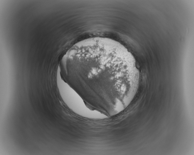 X0000115161060200911241544