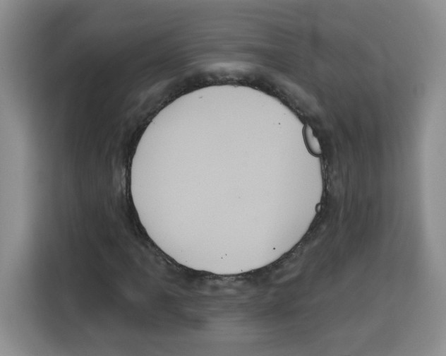 X0000115161061200911241544