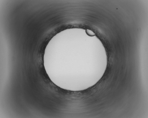 X0000115161062200911241544