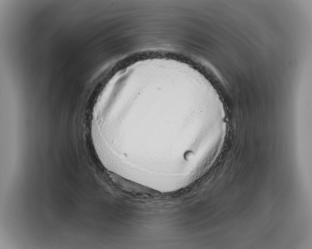 X0000115161064200911241544