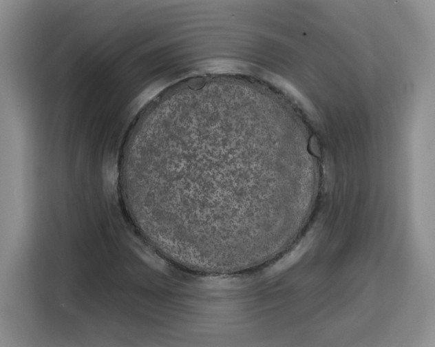 X0000115161065200911241544