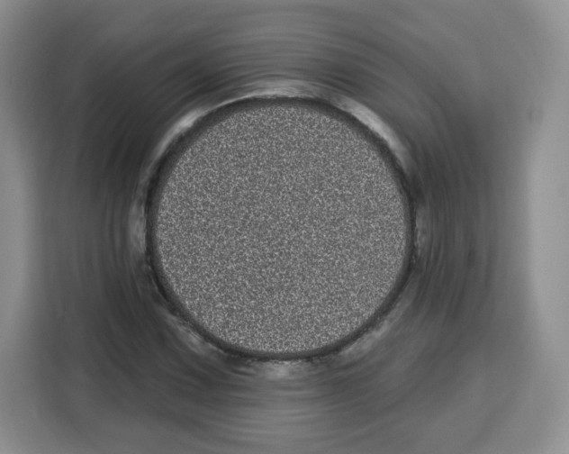 X0000115161067200911241544