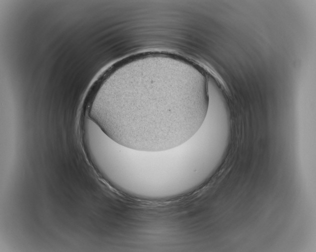 X0000115161068200911241544