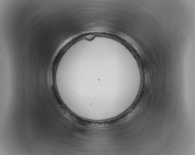 X0000115161069200911241544