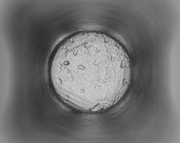 X0000115161071200911241544