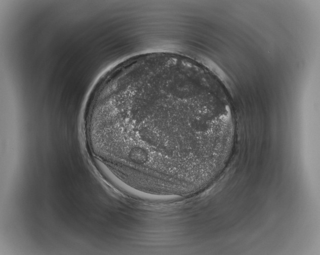 X0000115161072200911241544