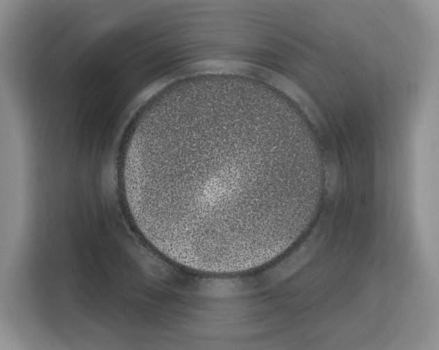 X0000115161074200911241544