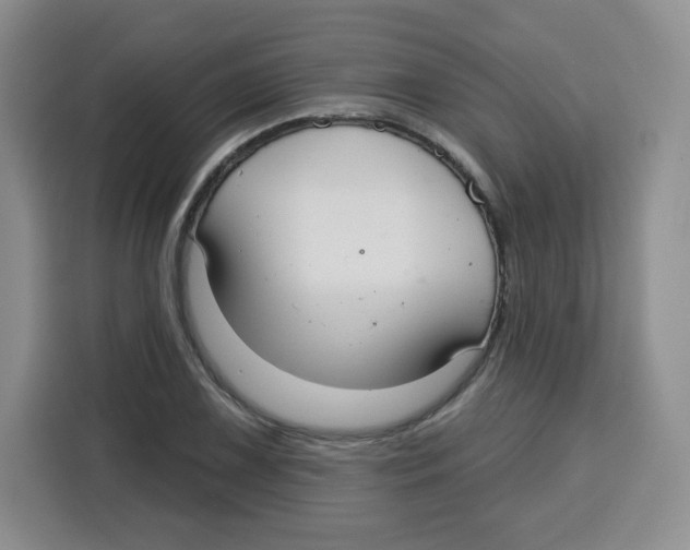 X0000115161075200911241544