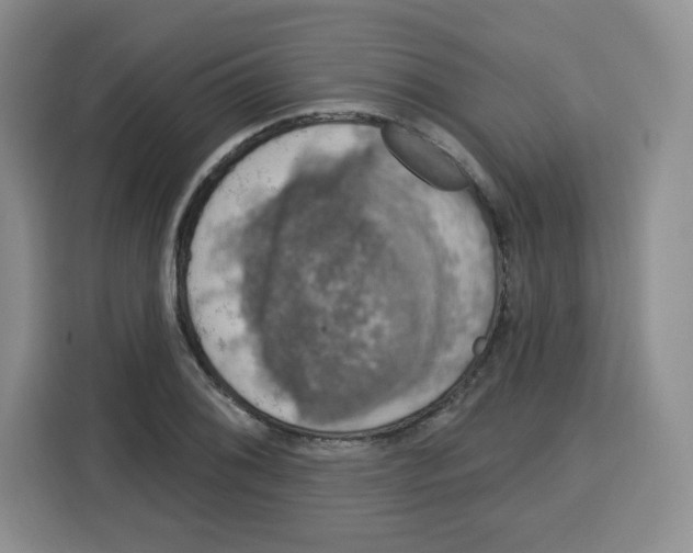 X0000115161076200911241544