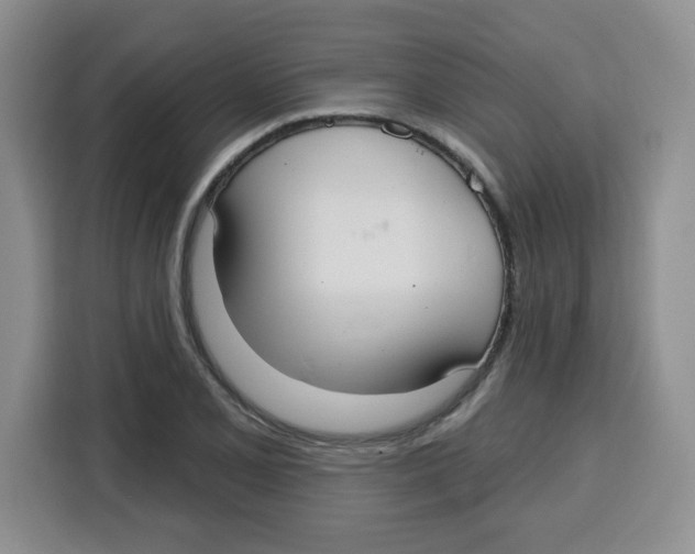 X0000115161077200911241544