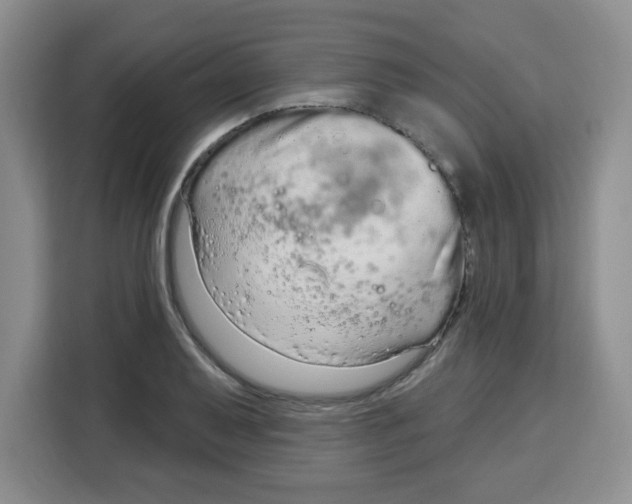 X0000115161079200911241544