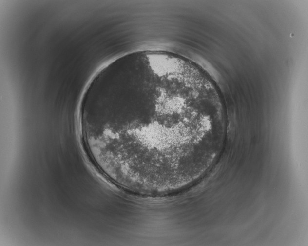 X0000115161080200911241544