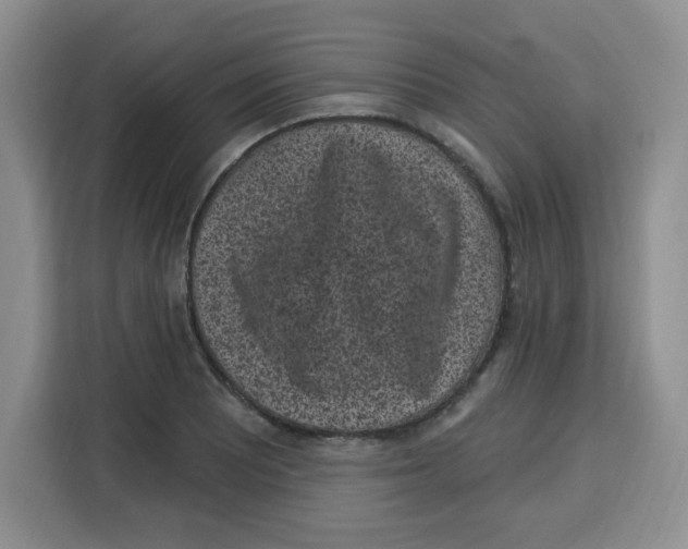 X0000115161081200911241544