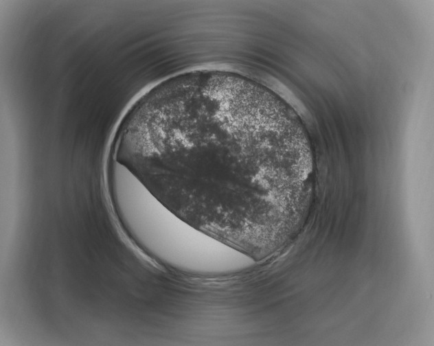 X0000115161084200911241544