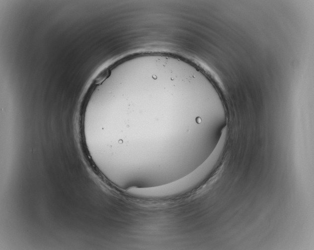 X0000115161085200911241544