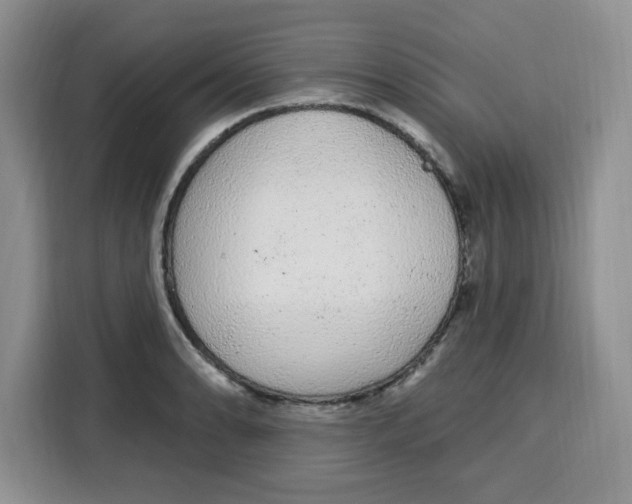 X0000115161086200911241544