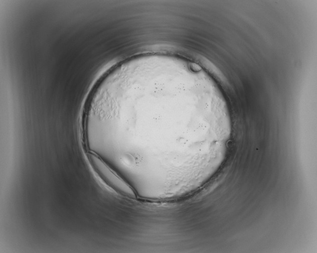 X0000115161087200911241544